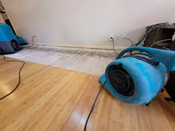 Professional Water Damage Repair technician working in Yorklyn, DE